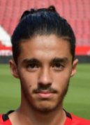 Amir Arli