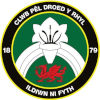 Rhyl FC