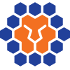 Queensland Lions FC